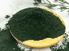 Organic Chlorella Powder Organic Chlorella Powder