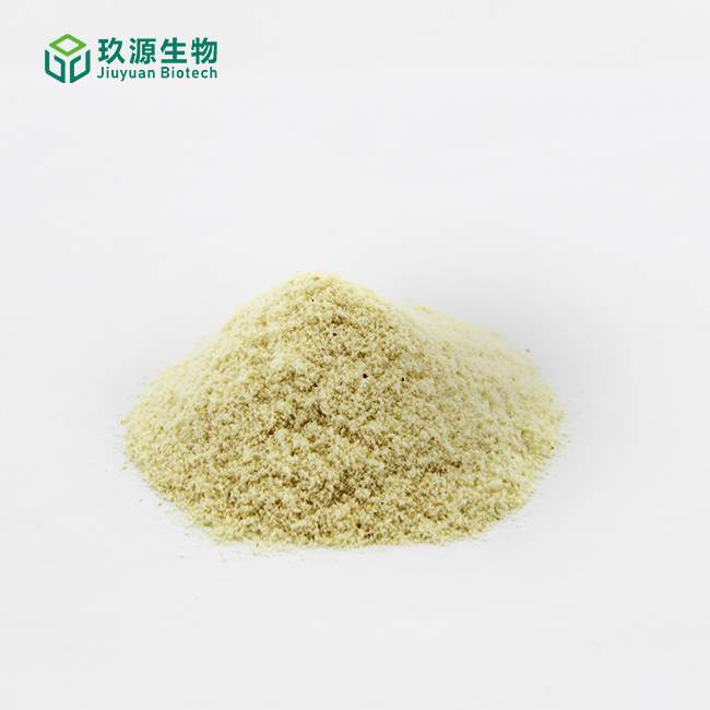 Freeze-dried lemon powder 1
