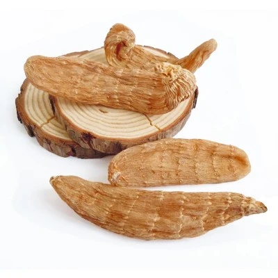 Gastrodia elata Gastrodia elata